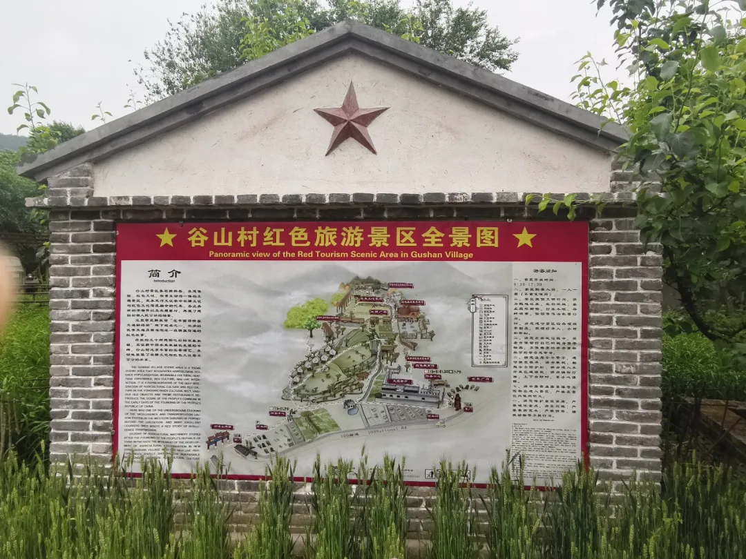1749006184820048.jpg 07.jpg